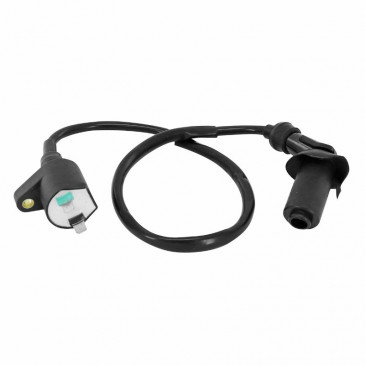 BOBINE ALLUMAGE SCOOT ADAPTABLE SYM 50 ORBIT II 4T (AVEC ANTIPARASITE) (OEM 3051A-ABA-0000) -P2R- 3700948223727