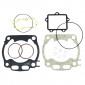 GASKET SET FOR CYLINDER KIT - RADICAL MOTOCROSS FOR YAMAHA 250 YZ 2003>2019 8434579058896