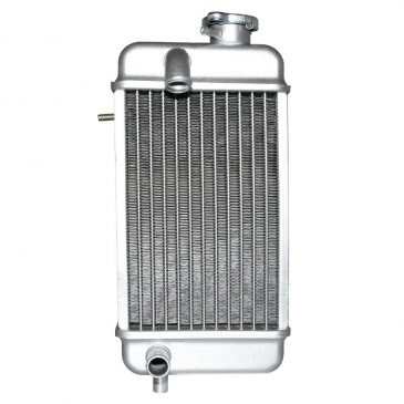 RADIATOR FOR 50CC MOTORBIKE RIEJU 50 RMX, SMS, RR, SPIKE -SELECTION P2R- 3700948153734