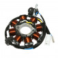 STATOR ALLUMAGE MAXISCOOTER ADAPTABLE KYMCO 125 AGILITY 4T 2008>2013 (8 POLES) (R.O 00131053) -TOP PERFORMANCES- 3700948166109