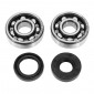 BEARING FOR CRANKSHAFT+SEALS FOR 50cc MOTORBIKE - FAG for MINARELLI AM6 (Bearing 6303-C3/NITRILE SEALS). (KIT). -FAG- 3701213431434