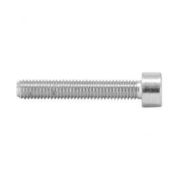 ALLEN SCREW M5 x 30 mm CHROME (25 IN A BAG). -SELECTION P2R- 7421083715705