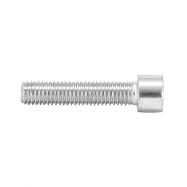 ALLEN SCREW M10 x 30 mm CHROME (10 IN A BAG). -SELECTION P2R- 7421083710397