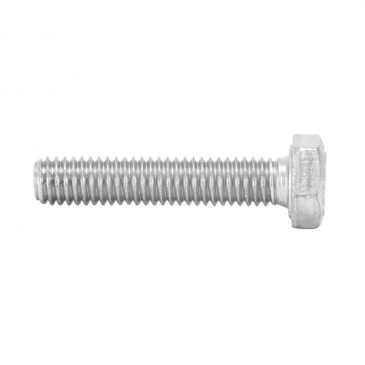 HEX SCREW M6 x 25 mm GALVANIZED (10 in a bag). -SELECTION P2R- 7421083707755