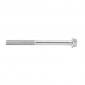 HEX SHOULDER SCREW M6 x 60 mm CHROME SW8 (10 IN A BAG). -SELECTION P2R- 7421083712711