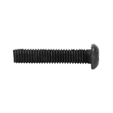 MACHINE SCREW-ROUND HEAD M4 x 35 mm BLACK (10 IN A BAG). -SELECTION P2R- 7421083712063