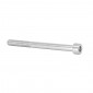 ALLEN SCREW M6 x 45 mm CHROME (12 IN A BAG). -SELECTION P2R- 7421083716214