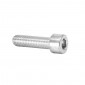 ALLEN SCREW M8 x 10 mm CHROME (12 IN A BAG). -SELECTION P2R- 7421083716900