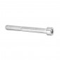 ALLEN SCREW M8 x 40 mm CHROME (12 IN A BAG). -SELECTION P2R- 7421083717150