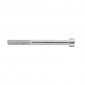 ALLEN SCREW M6 x 100 mm CHROME (12 IN A BAG). -SELECTION P2R- 7421083716863