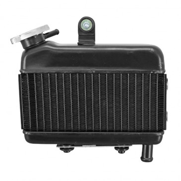 RADIATEUR CYCLO ADAPTABLE PEUGEOT 103 SP, SPX, RCX (COMPLET) -SELECTION P2R- 3701213432943