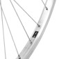 ROUE CITY PATIN TORPEDO ARRIERE 700 x 35 - 28'' JANTE ALU MOYEU ACIER RETROPEDALAGE 1V AVEC PIGNON (COASTER BRAKE) JANTE 21C (35-622) 3660429071400