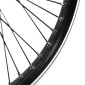 WHEEL FOR BMX 20" -Rear - FLIP-FLOP HUB - ALUMINIUM BLACK 48 Spokes -. Axle 3/8 3700948277201