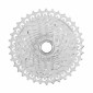 CASSETTE 13 Speed. CAMPAGNOLO EKAR 9-42 (9-10-11-12-13-14-16-18-21-25-30-36-42) 8053340455469