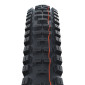 PNEU VTT GRAVITY / VAE 27.5 X 2.40 SCHWALBE BIG BETTY ADDIX SUPER GRAVITY ENDURO NOIR TLE TUBELESS READY TS (62-584) (650B) HOMOLOGUE VAE e50 4026495877893