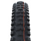 PNEU VTT GRAVITY / VAE 29 X 2.40 SCHWALBE BIG BETTY ADDIX SUPER GRAVITY ENDURO NOIR TLE TUBELESS READY TS (62-584) HOMOLOGUE VAE e50 4026495880510