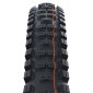 PNEU VTT GRAVITY / VAE 29 X 2.60 SCHWALBE BIG BETTY ADDIX SUPER GRAVITY ENDURO NOIR TLE TUBELESS READY TS (65-622) HOMOLOGUE VAE e50 4026495880916