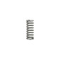 SPRING FOR AIR SCREW FOR KEIHIN PWK 28, 33 > 39 (ORIGINAL) 3700948248751