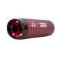 EXHAUST FOR 50cc MOTORBIKE- TECNIGAS E-BOX 2 FOR RIEJU 50 MRT - red silencer (LOW MOUNTING) 8435521104395