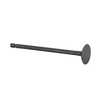 EXHAUST VALVE DIAMETER 18 -1A019561-