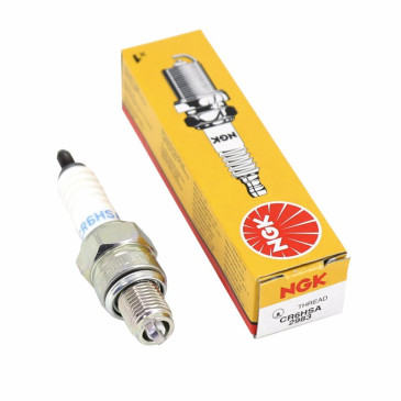 SPARK PLUG NGK CR6HSA (2983) 0087295129838