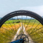 PNEU GRAVEL 700 X 38 VITTORIA TERRENO DRY NOIR TR (38-622) 8022530022446