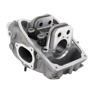 COMPLETE CYLINDER HEAD -1A0194535-