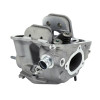 COMPLETE CYLINDER HEAD -1A0194535-