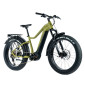 VELO ELECTRIQUE/VAE VTT FAT BIKE 26 LEADER FOX BRASA 2024 VERT KAKI 11V MOTEUR CENTRAL PANASONIC GX ULTIME 36V 90Nm BATTERIE 20Ah (18'' - H45,7cm - TAILLE M - POUR ADULTE DE 165cm à 178cm) 8592826041920