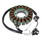 IGNITION STATOR FOR MAXISCOOTER YAMAHA 125 XMAX/MBK 125 SKYCRUISER (18 POLES) -SELECTION P2R- 3700948080139