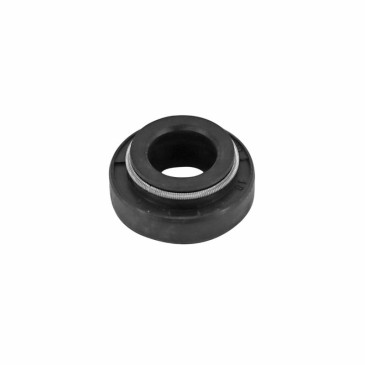 OIL SEAL FOR WATER PUMP FOR MINARELLI 50 AM6/MBK 50 X-POWER/YAMAHA 50 TZR/PEUGEOT 50 XPS/RIEJU 50 RS1/APRILIA 50 RS (SOLD PER UNIT) (10x18x4) -P2R- 3700948208113