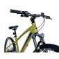 VELO MUSCULAIRE VTT 24 LEADER FOX CAPITAN 2025 GARCON VERT KAKI MAT 8V (TAILLE ENFANT 135 à 145 cm) 8592826103246