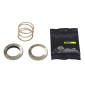 KIT RECHANGE POUR CORPS CASSETTE MAVIC ID36040T VTT (CREMAILLERE 40 DENTS + RESSORT) 0889645850047