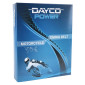 COURROIE DE DISTRIBUTION DAYCO POUR DUCATI 600 MONSTER 1993>1996, 400 MONSTER 1995>2006 (68 dts) (QUALITE ORIGINE) 8021787054132