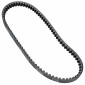 COURROIE SCOOT ADAPTABLE KEEWAY 50 F-ACT, MATRIX, RY8 (808 x 17.5 x 8) -DAYCO- 8021787568684