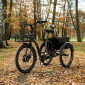 TRICYCLE ELECTRIQUE/VAE CITY LEADER FOX 24" LOVELO 2025 MIXTE NOIR BRILLANT 3V SHIMANO NEXUS MOTEUR ROUE AV BAFANG 36V 45Nm BATTERIE 17,4Ah 8592826103277